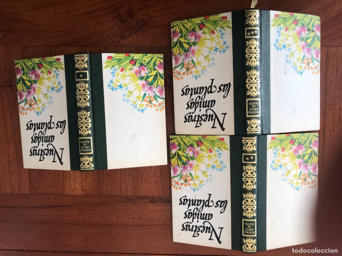 Libros de segunda mano: Daniela Manta. Nuestras Amigas Las Plantas. - Foto 11