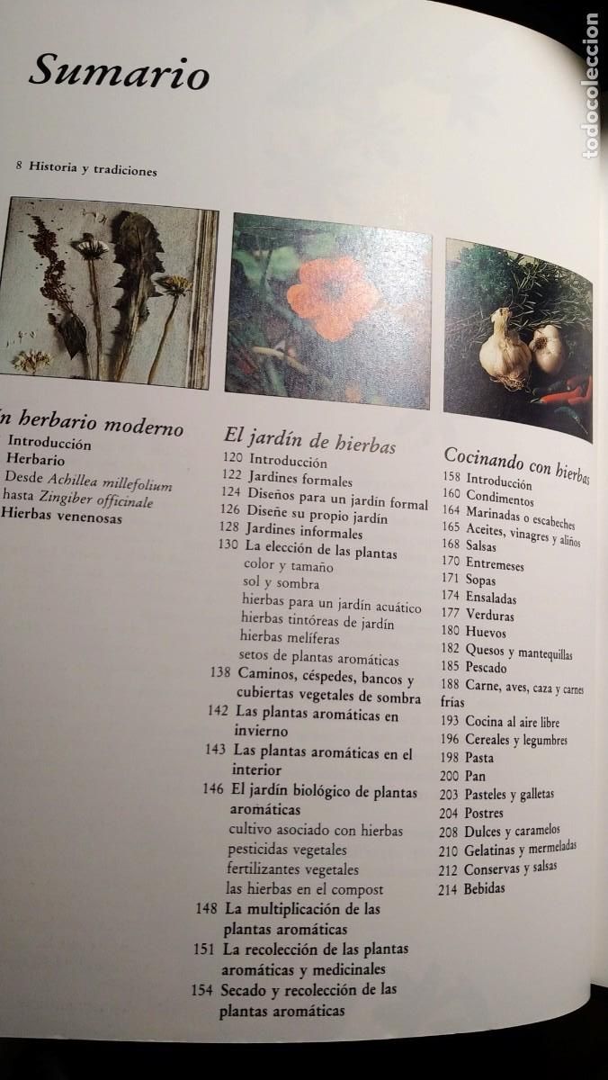 Libros de segunda mano: GRAN LIBRO DE LAS HIERBAS Y ESPECIAS - SARAH GARLAND - Foto 3