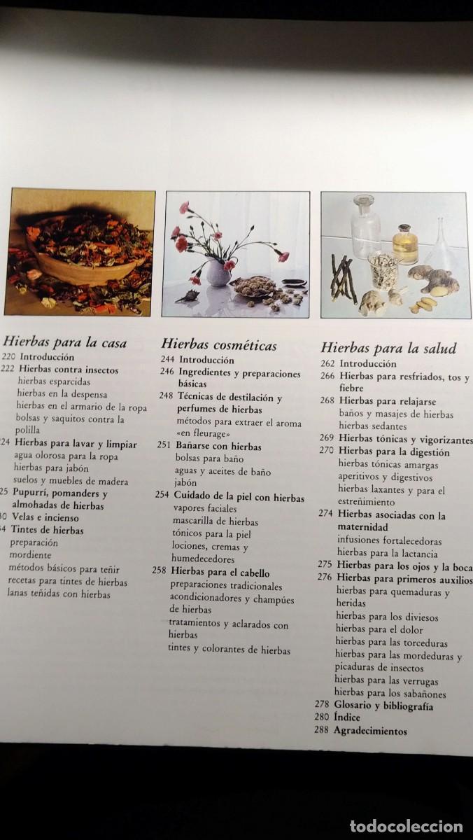 Libros de segunda mano: GRAN LIBRO DE LAS HIERBAS Y ESPECIAS - SARAH GARLAND - Foto 4