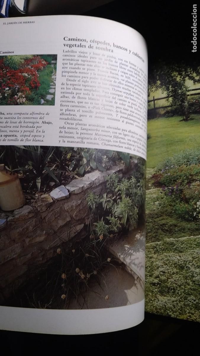 Libros de segunda mano: GRAN LIBRO DE LAS HIERBAS Y ESPECIAS - SARAH GARLAND - Foto 6