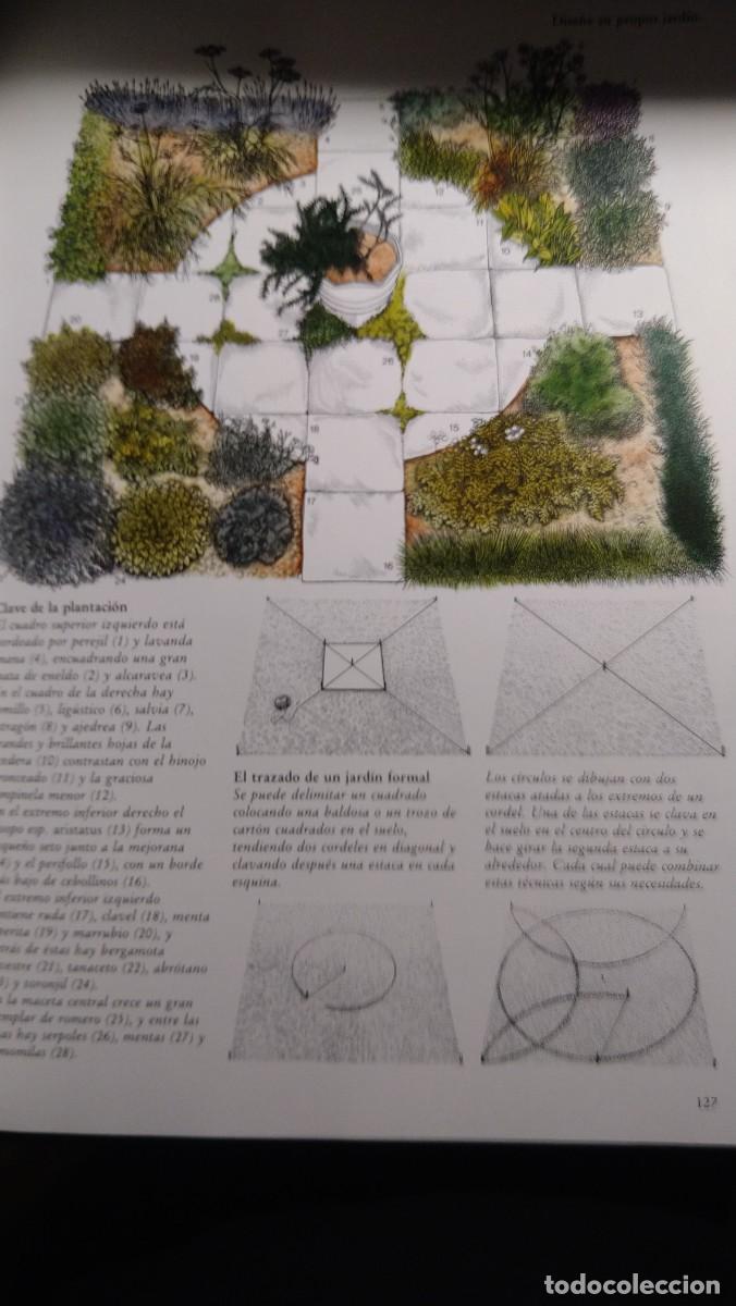 Libros de segunda mano: GRAN LIBRO DE LAS HIERBAS Y ESPECIAS - SARAH GARLAND - Foto 8