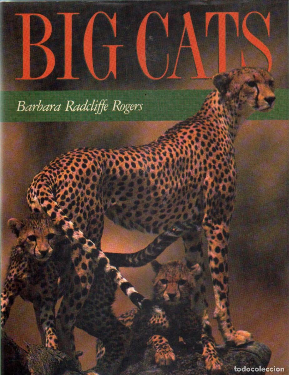 Second hand books: BIG CATS. RADCLIFFE ROGERS, BARBARA. A-ANIMAL-197