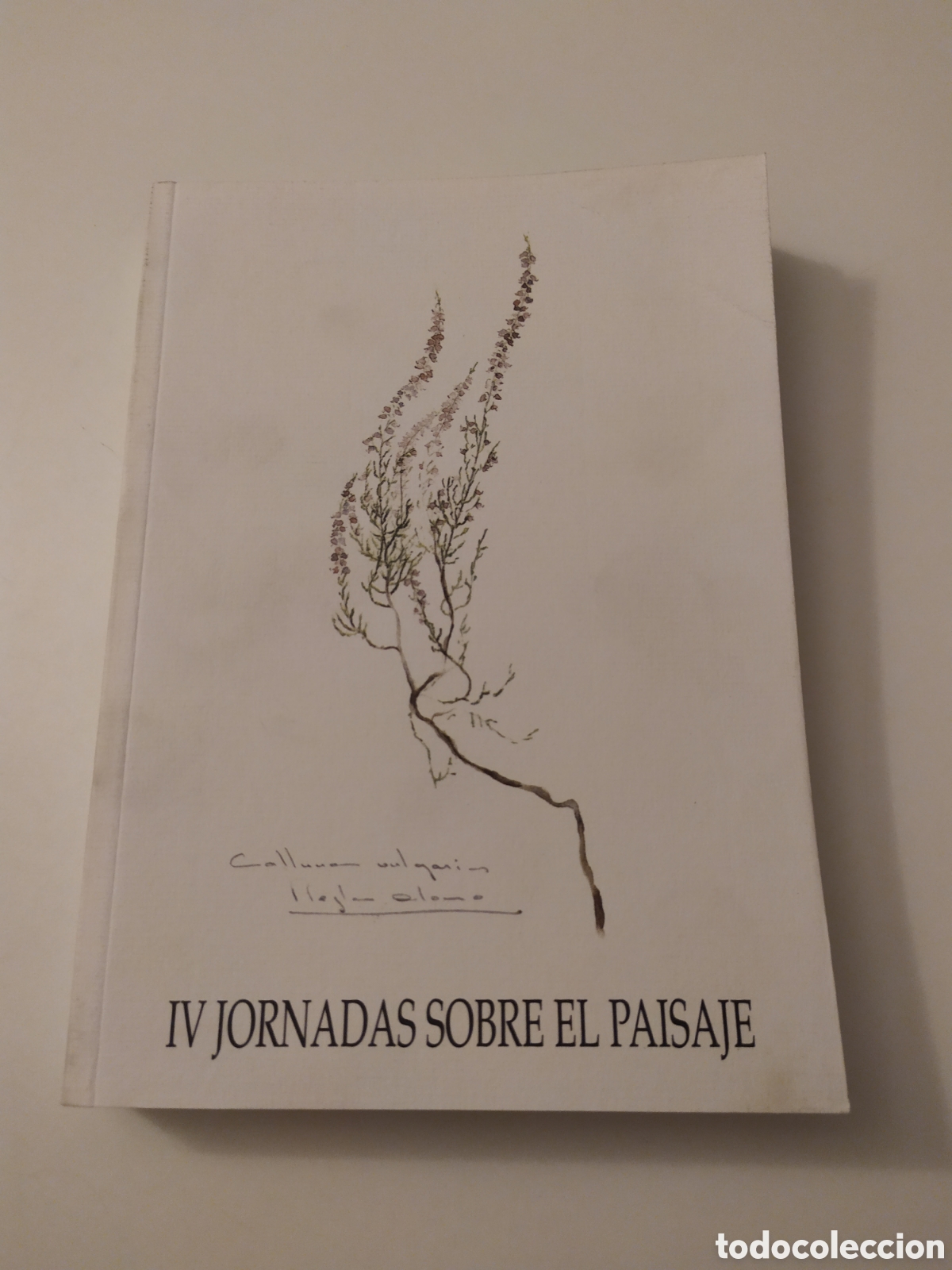 Second hand books: IV JORNADAS SOBRE EL PAISAJE. SEGOVIA 1991.