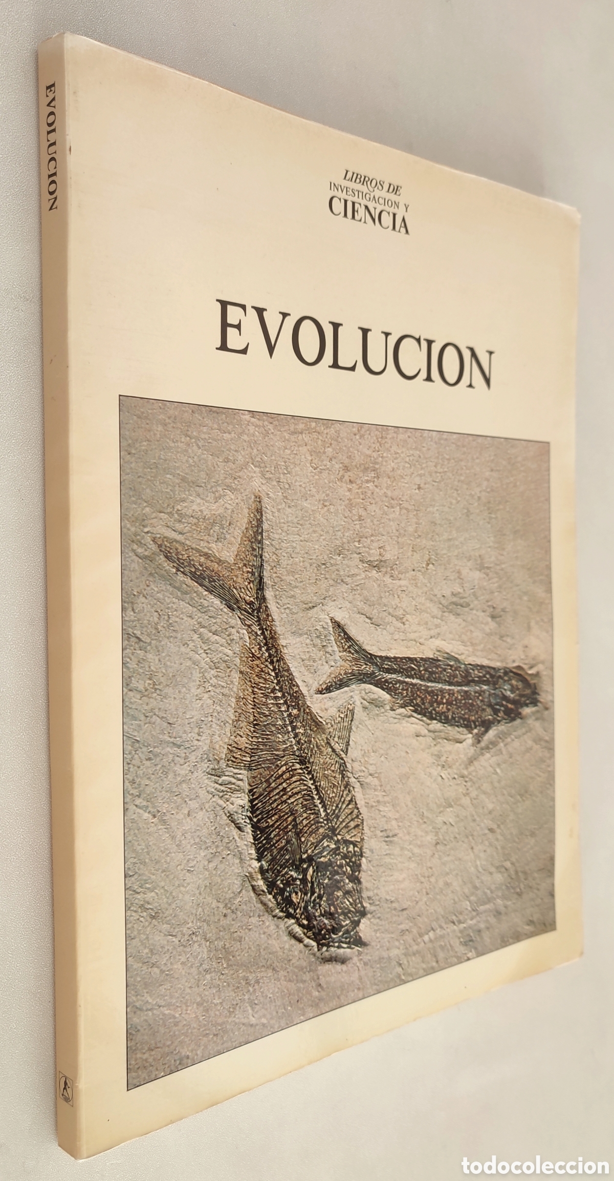 Libros de segunda mano: Libros de investigaci&oacute;n y Ciencia. Evoluci&oacute;n. - Foto 2