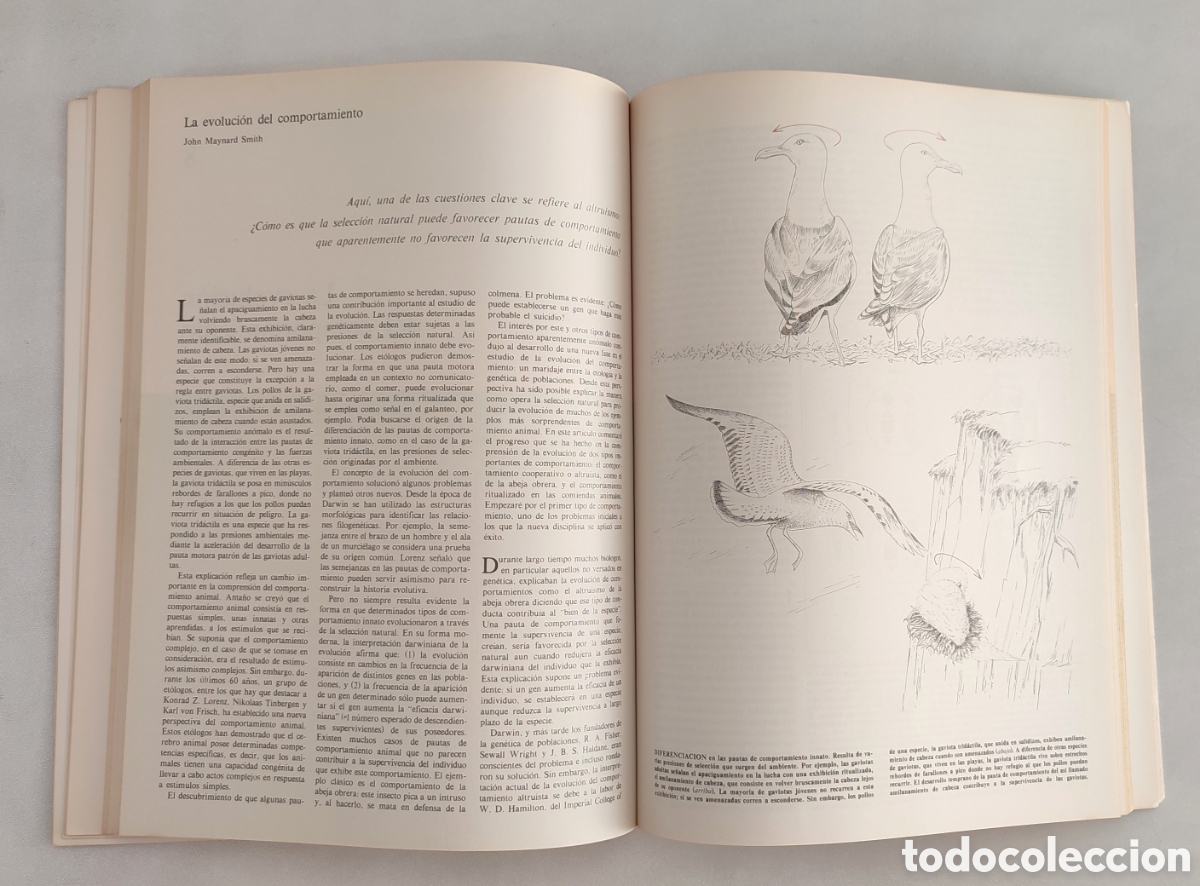 Libros de segunda mano: Libros de investigaci&oacute;n y Ciencia. Evoluci&oacute;n. - Foto 5