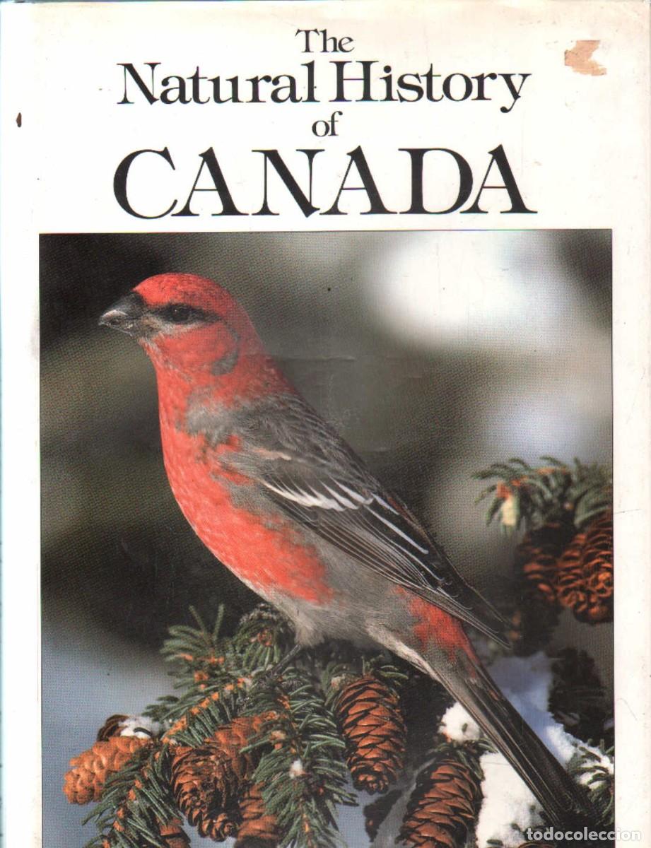 Second hand books: THE NATURAL HISTORY OF CANADA. DAVIES, ADRIAN. A-ANIMAL-200