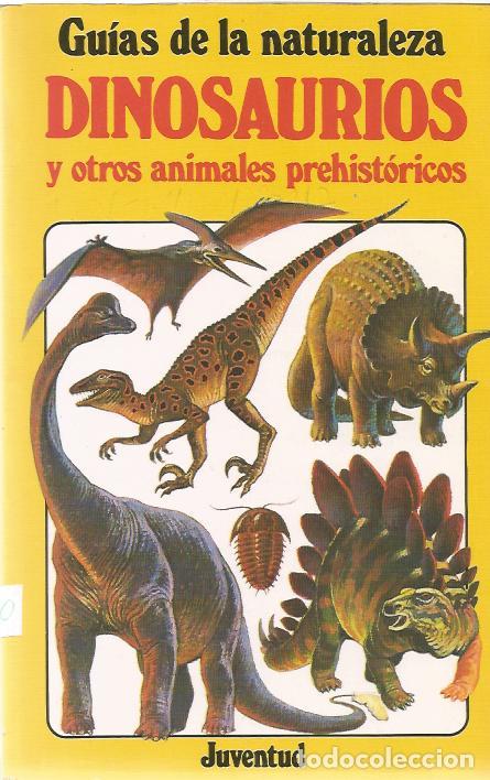 Libros de segunda mano: Dinosaurios y otros animales prehistoricos - Norman, David - Foto 1