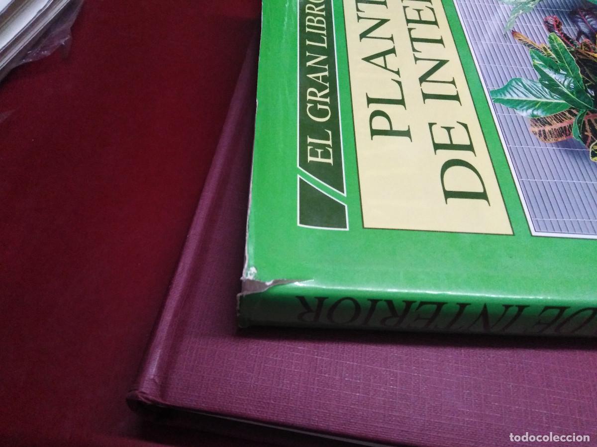 Libros de segunda mano: El gran libro de las Plantas de Interior - Jiri Haager - Foto 2