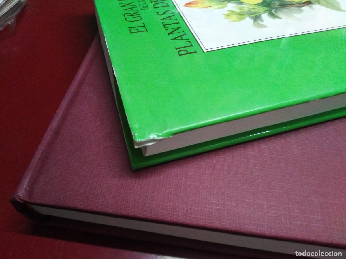 Libros de segunda mano: El gran libro de las Plantas de Interior - Jiri Haager - Foto 3