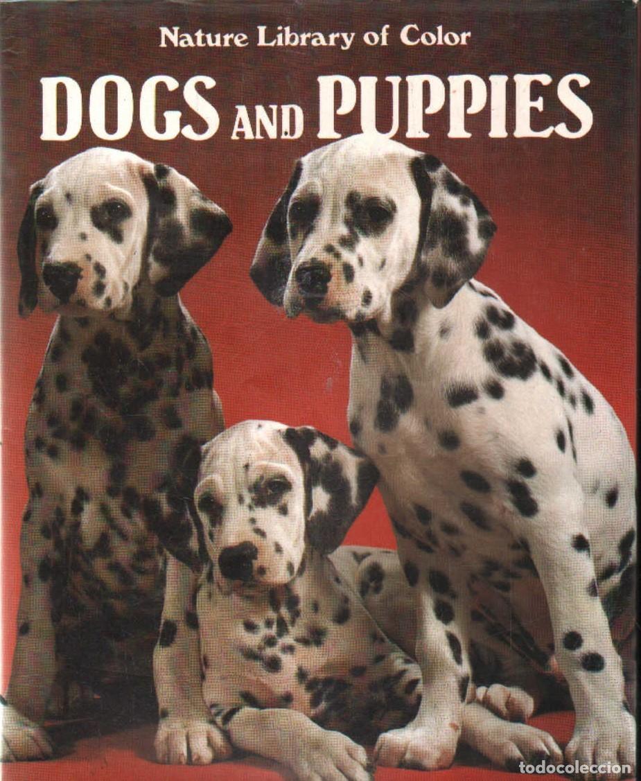 Second hand books: NATURE LIBRARY OF COLOR: DOGS AND PUPPIES. A-ANIMAL-203