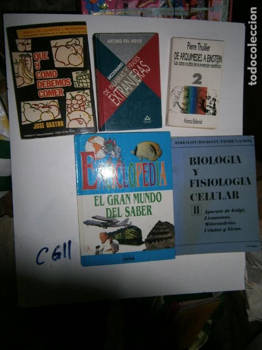 Libros de segunda mano de ciencias: DE ARQUIMEDES A EINSTEIN - LAS CARAS OCULTAS DE LA INVENCION CIENTIFICA - CG11 - Foto 1