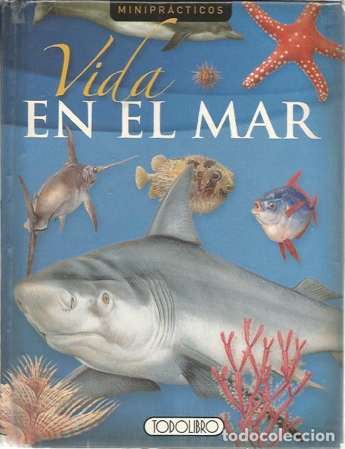 Libros de segunda mano: Vida en el mar - Wright, Michael y Sparrow, Giles - Foto 1