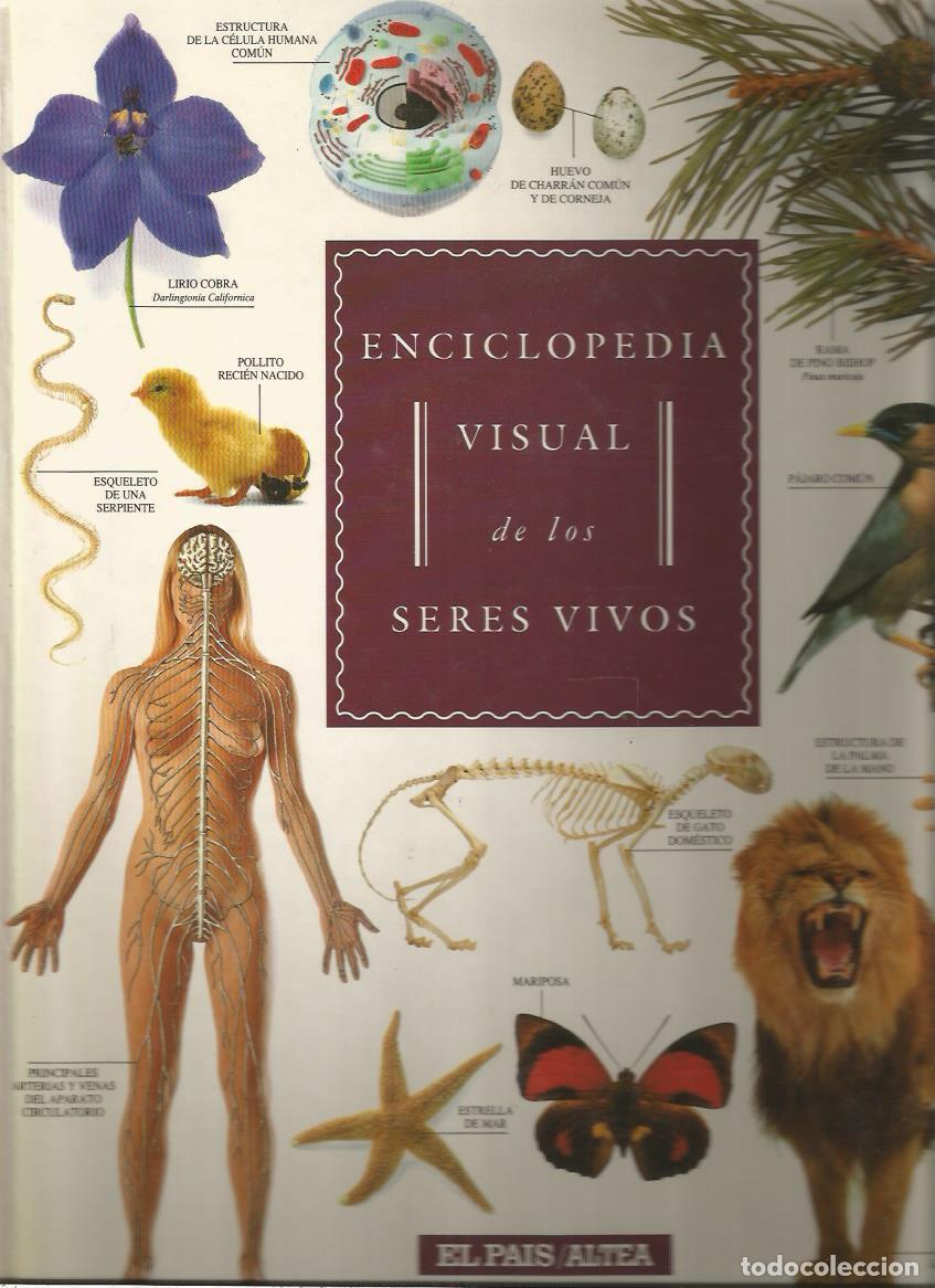 Libros de segunda mano: Enciclopedia visual de los seres vivos - Varios autores - Foto 1