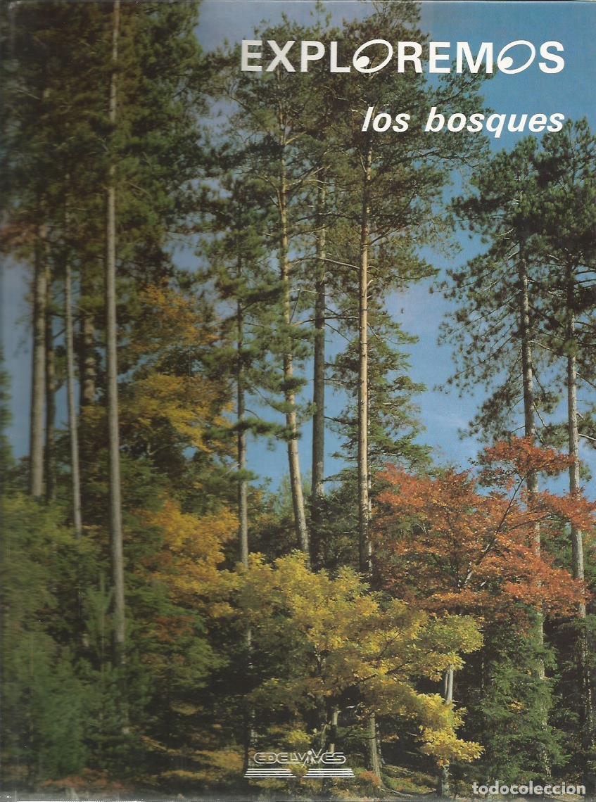 Libros de segunda mano: Los bosques (coleccion Exploremos) - Gourier, James - Foto 1