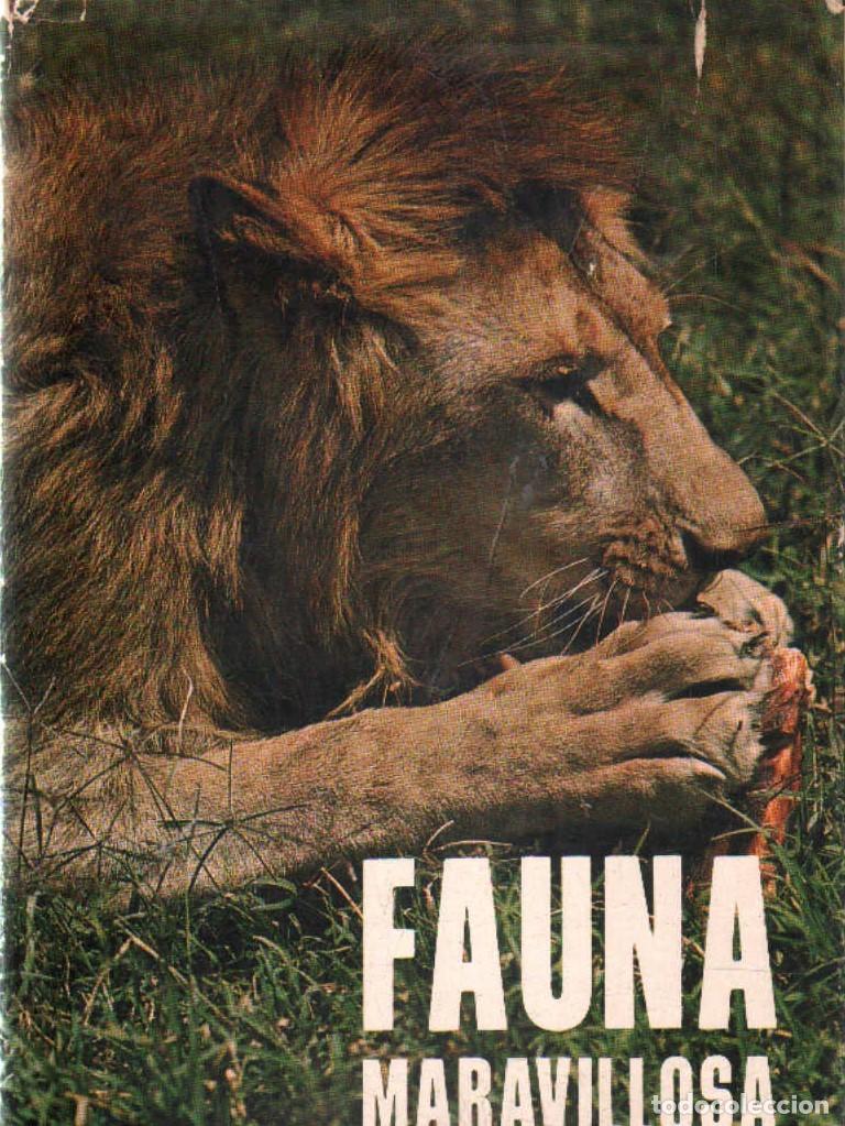 Second hand books: FAUNA MARAVILLOSA. FOSTER, WILLIAM G. A-ANIMAL-205