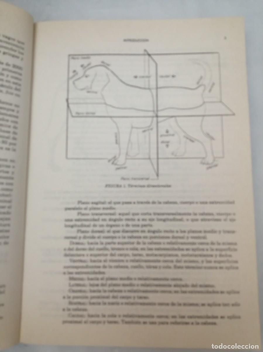 Libros de segunda mano: Disecci&oacute;n del Perro (Tercera edici&oacute;n) - Foto 5