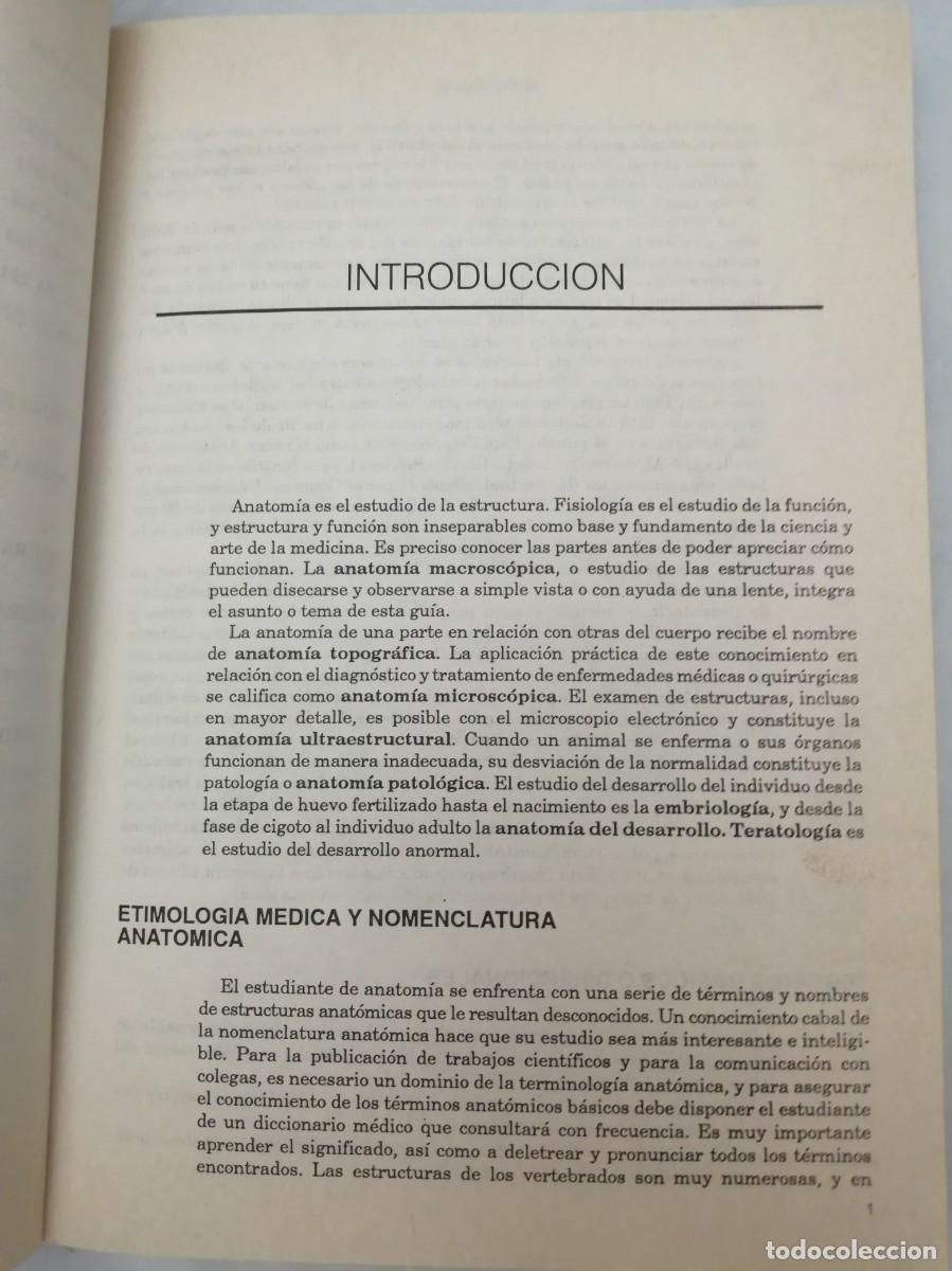 Libros de segunda mano: Disecci&oacute;n del Perro (Tercera edici&oacute;n) - Foto 6