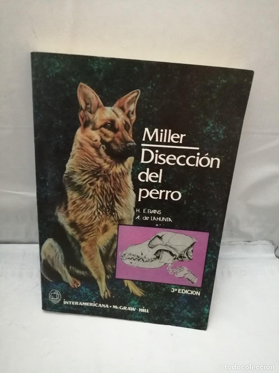 Libros de segunda mano: Disecci&oacute;n del Perro (Tercera edici&oacute;n) - Foto 1