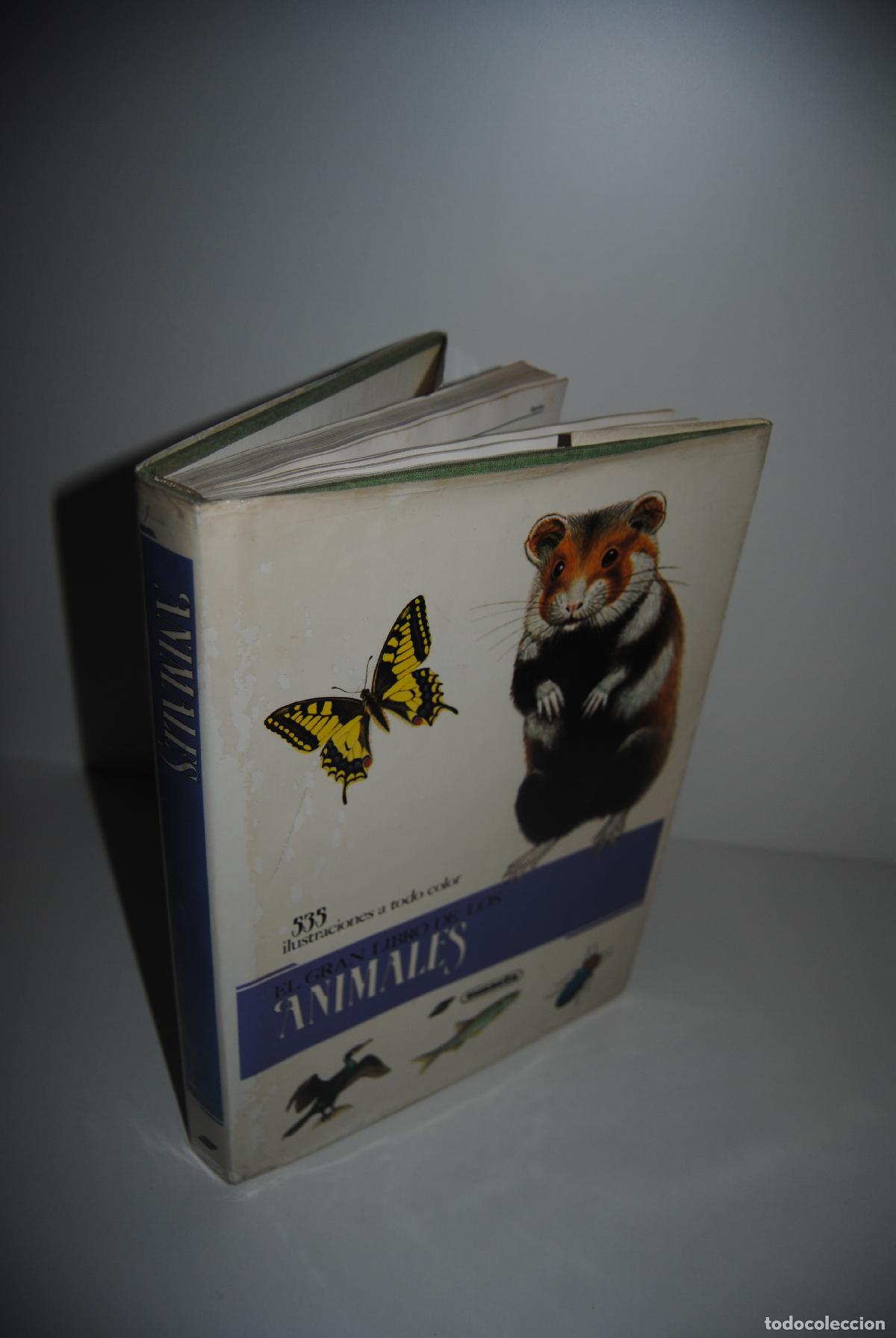 Libros de segunda mano: El gran libro de los animales - Varios autores - Foto 2