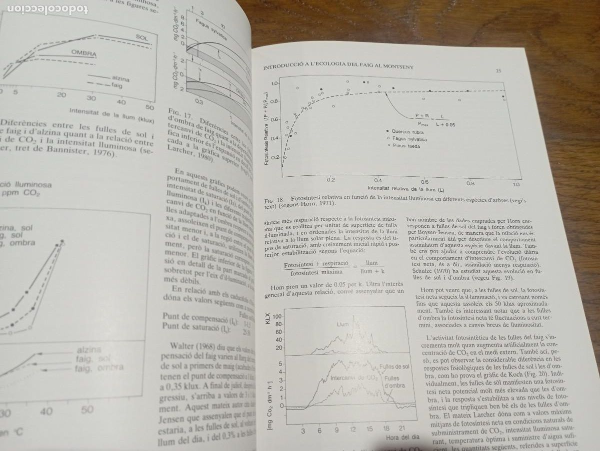 Libros de segunda mano: Introducci&oacute; a lecologia del faig al Montseny - diputaci&oacute; Barcelona - MO1 - Foto 2