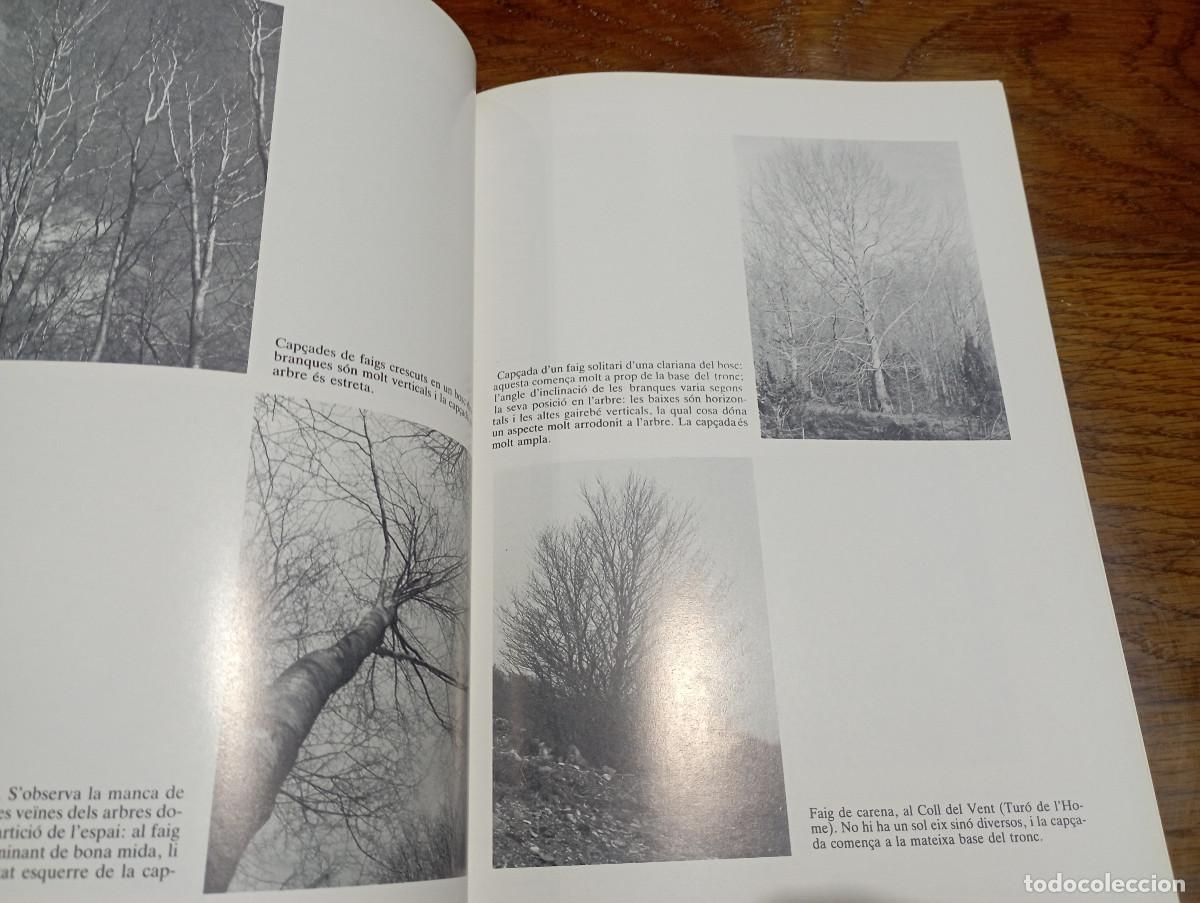 Libros de segunda mano: Introducci&oacute; a lecologia del faig al Montseny - diputaci&oacute; Barcelona - MO1 - Foto 3