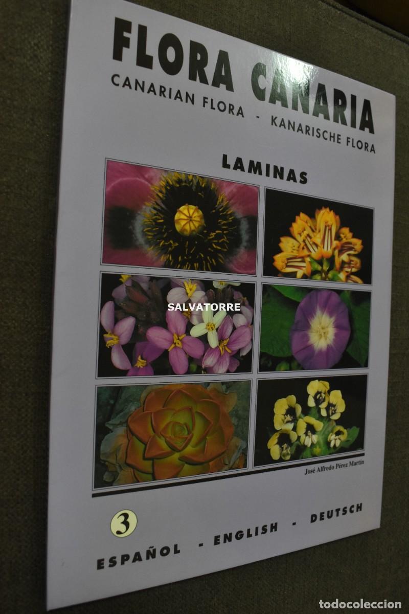 Gebrauchte B&uuml;cher: FLORA CANARIA. LAMINAS. 3 JOSE ALFREDO P&Eacute;REZ MART&Iacute;N.
