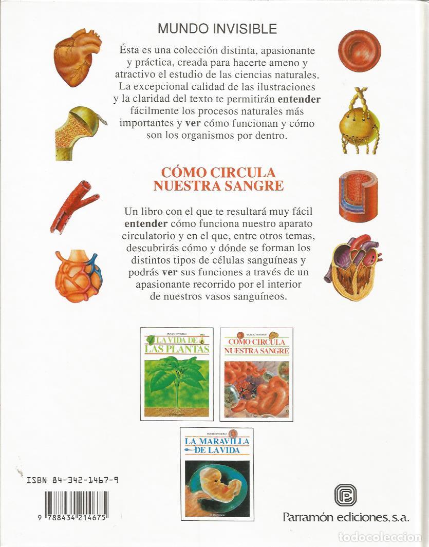 Libros de segunda mano: Como circula nuestra sangre (Coleccion Mundo invisible) - Parramon, Merce - Foto 2