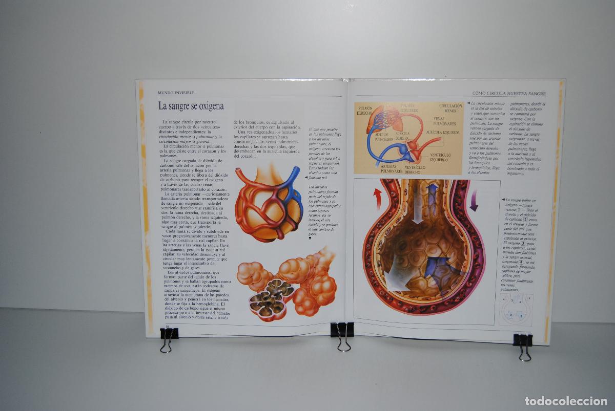 Libros de segunda mano: Como circula nuestra sangre (Coleccion Mundo invisible) - Parramon, Merce - Foto 3
