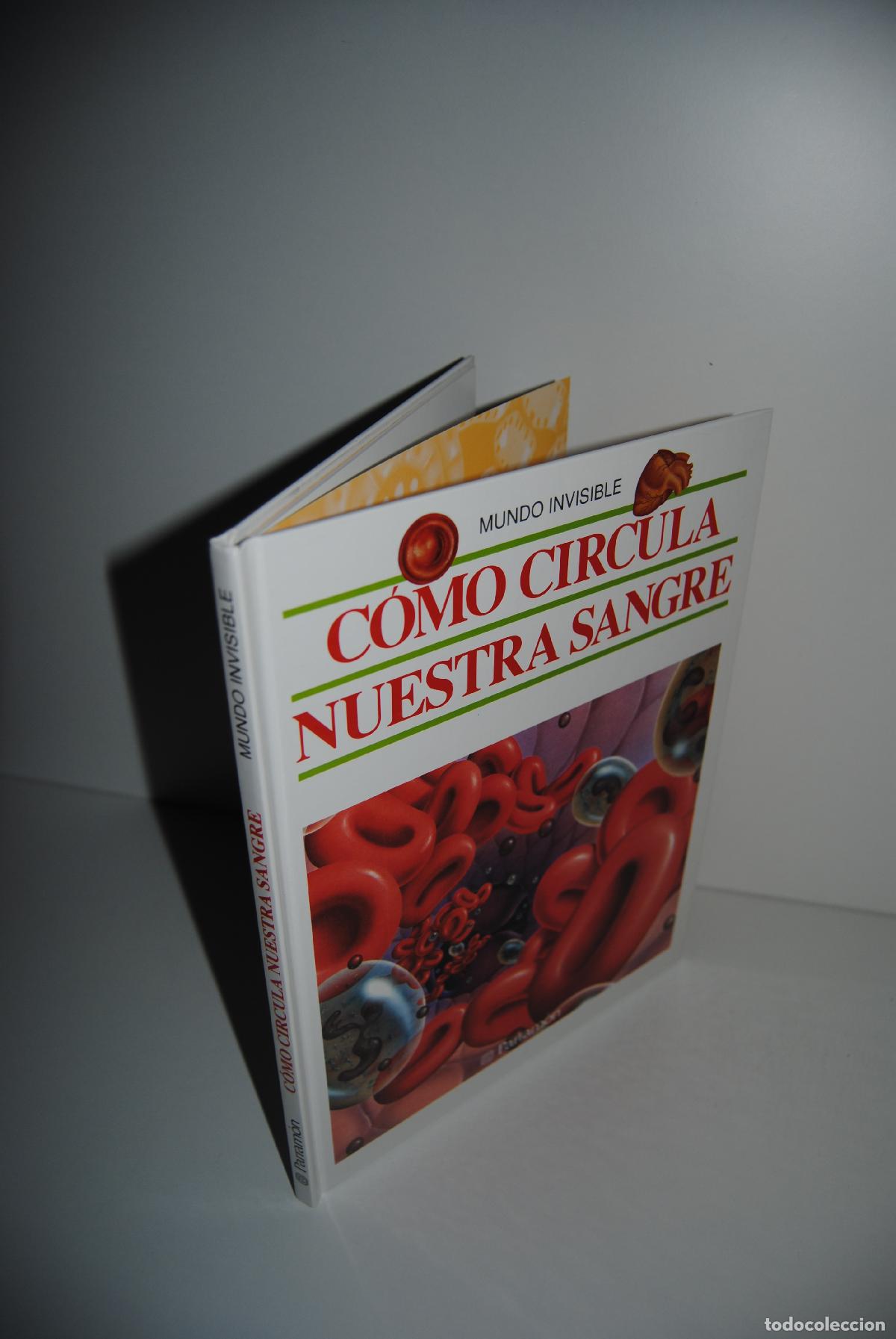 Libros de segunda mano: Como circula nuestra sangre (Coleccion Mundo invisible) - Parramon, Merce - Foto 4