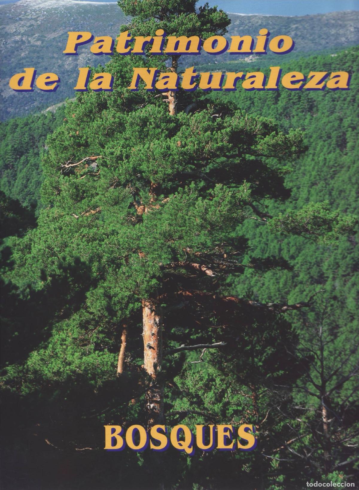 Libros de segunda mano: Bosques - Pardo, Miguel - Foto 1