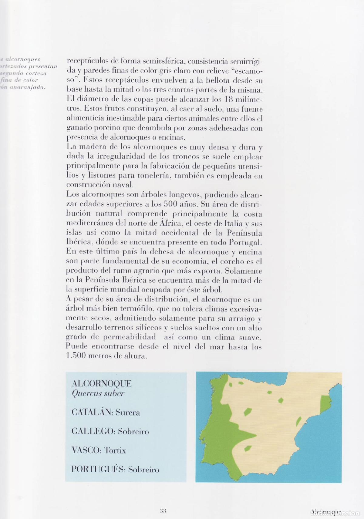 Libros de segunda mano: Bosques - Pardo, Miguel - Foto 2
