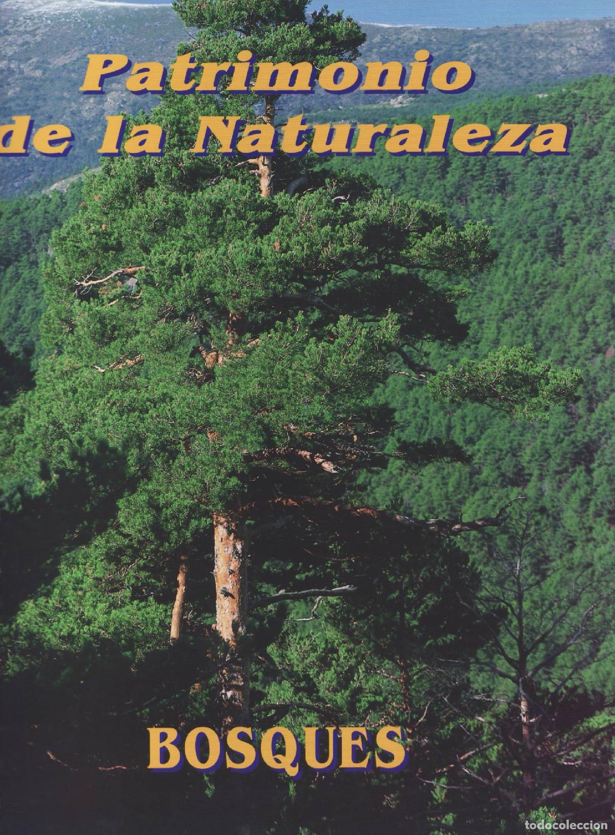 Libros de segunda mano: Bosques - Pardo, Miguel - Foto 1