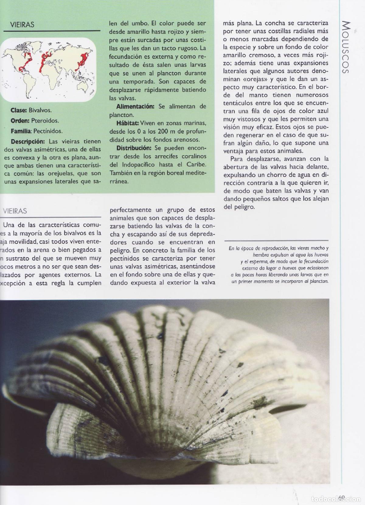 Libros de segunda mano: Invertebrados - Varios autores - Foto 2