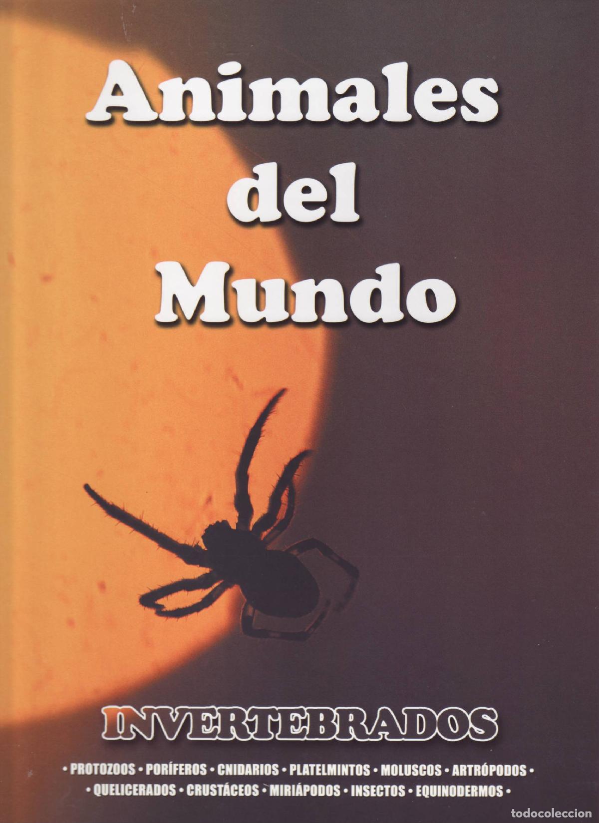 Libros de segunda mano: Invertebrados - Varios autores - Foto 1