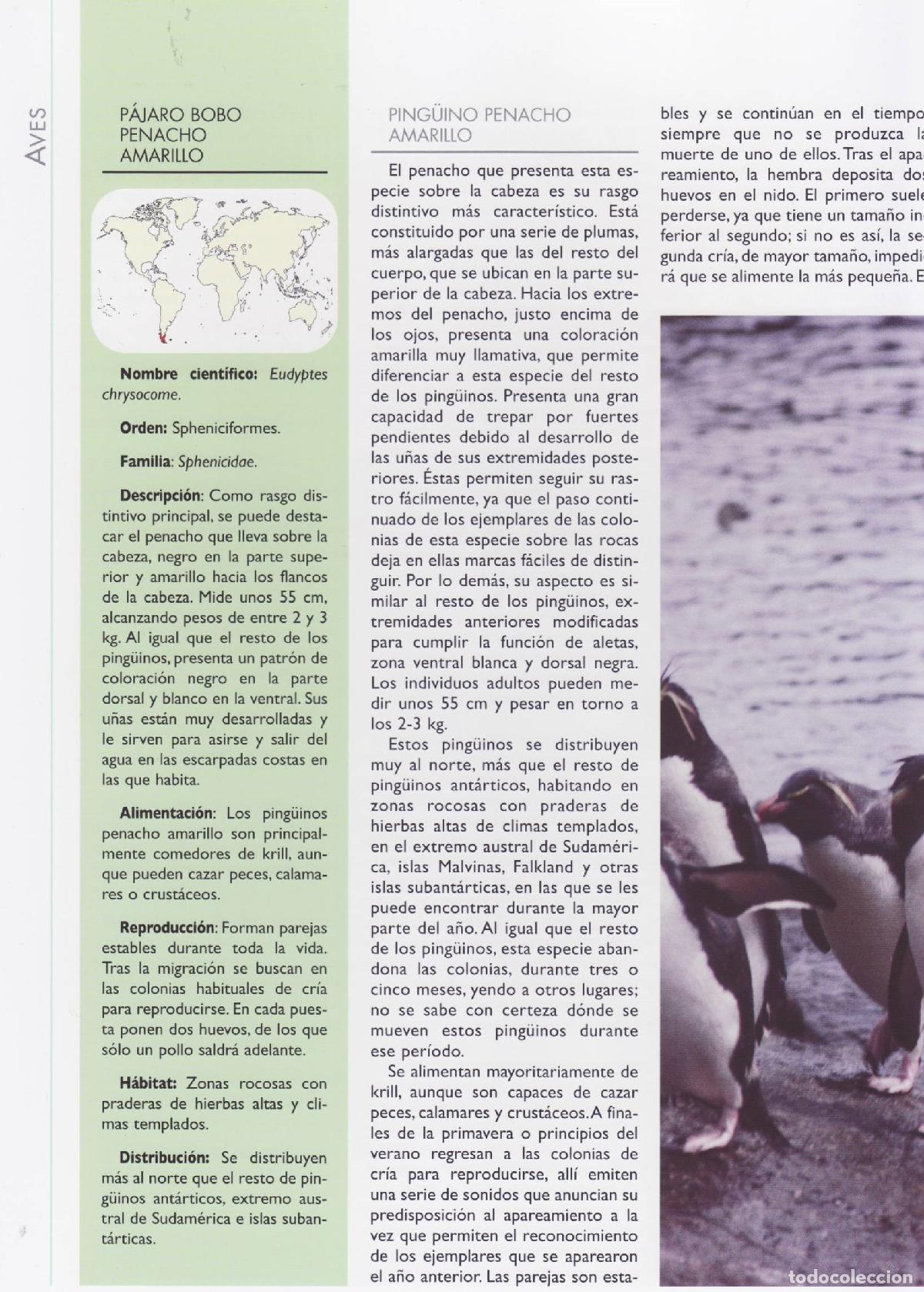 Libros de segunda mano: Aves 1 - Varios autores - Foto 2