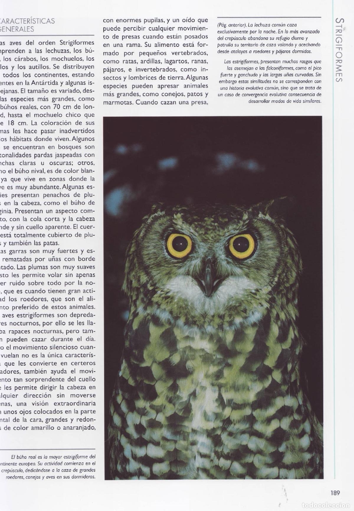 Libros de segunda mano: Aves 2 - Varios autores - Foto 2