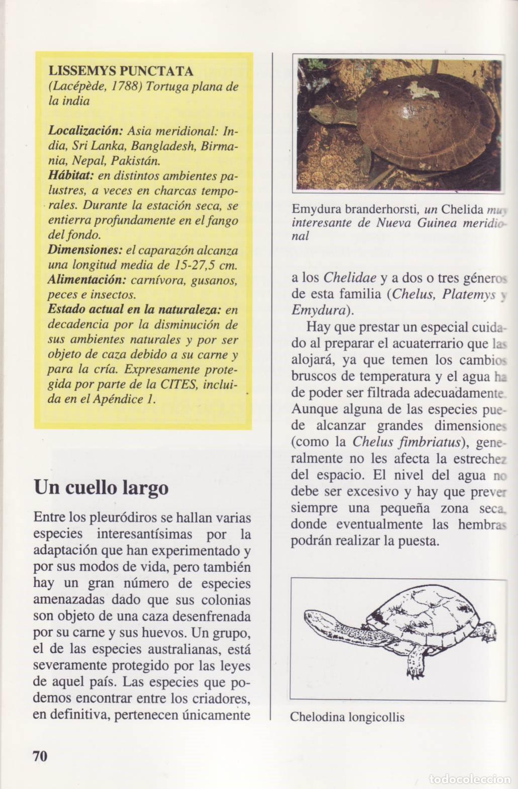 Libros de segunda mano: Tortugas terrestres y acuaticas - Ferri, Vincenzo - Foto 3