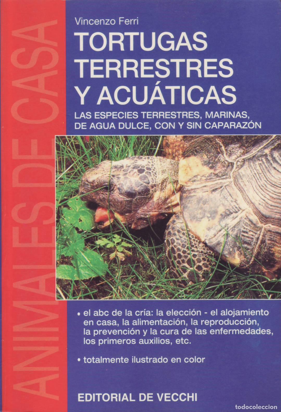 Libros de segunda mano: Tortugas terrestres y acuaticas - Ferri, Vincenzo - Foto 1