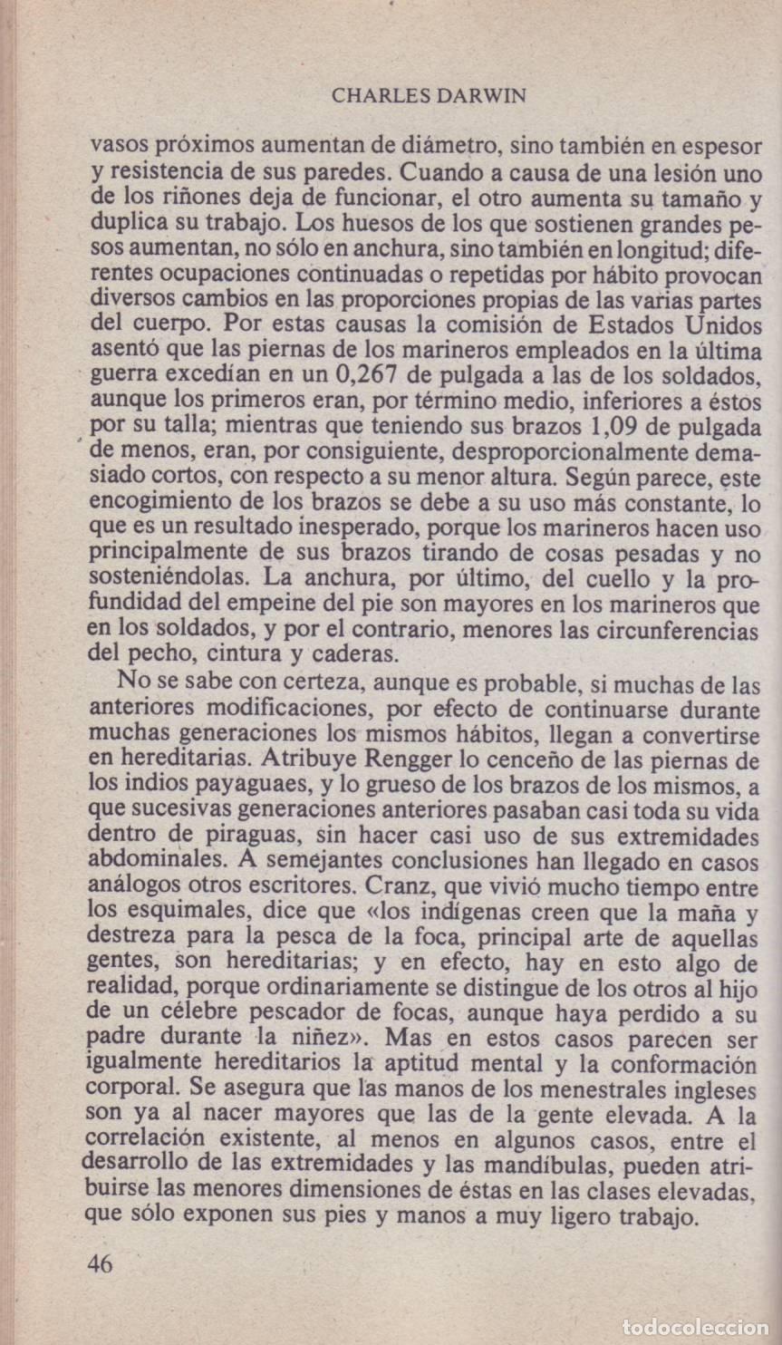 Libros de segunda mano: El origen del hombre (I) - Darwin, Charles - Foto 3