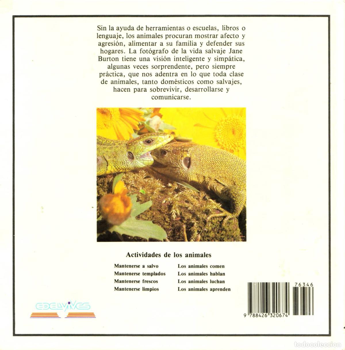 Libros de segunda mano: Los animales luchan - Burton, Jane - Foto 2