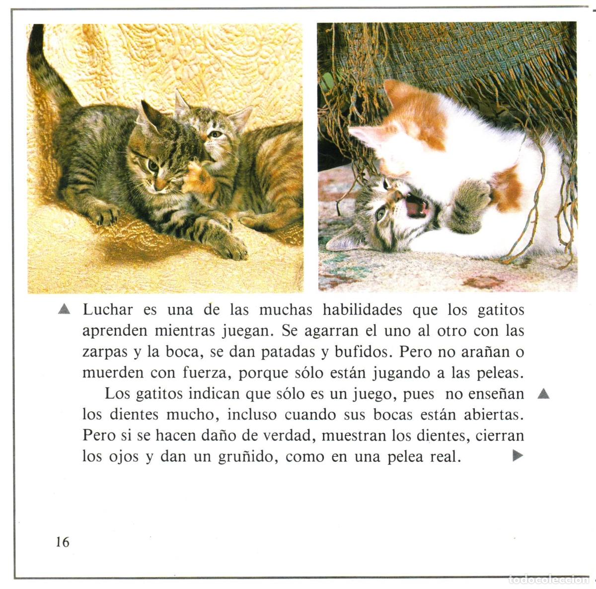 Libros de segunda mano: Los animales luchan - Burton, Jane - Foto 3