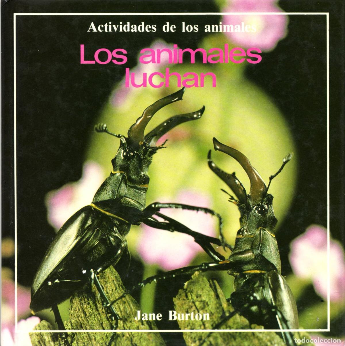 Libros de segunda mano: Los animales luchan - Burton, Jane - Foto 1