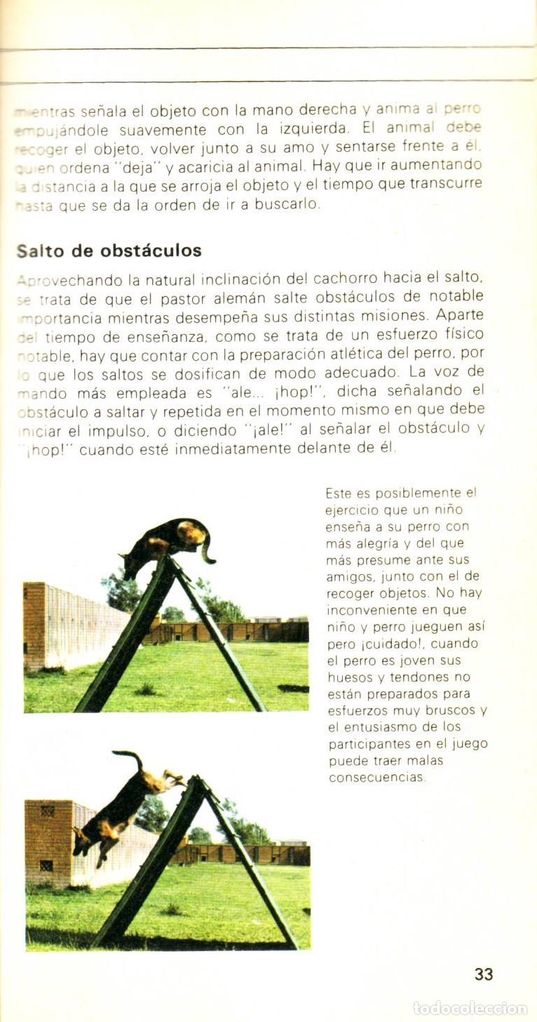 Libros de segunda mano: El perro pastor aleman - Torras, Eduardo - Foto 2