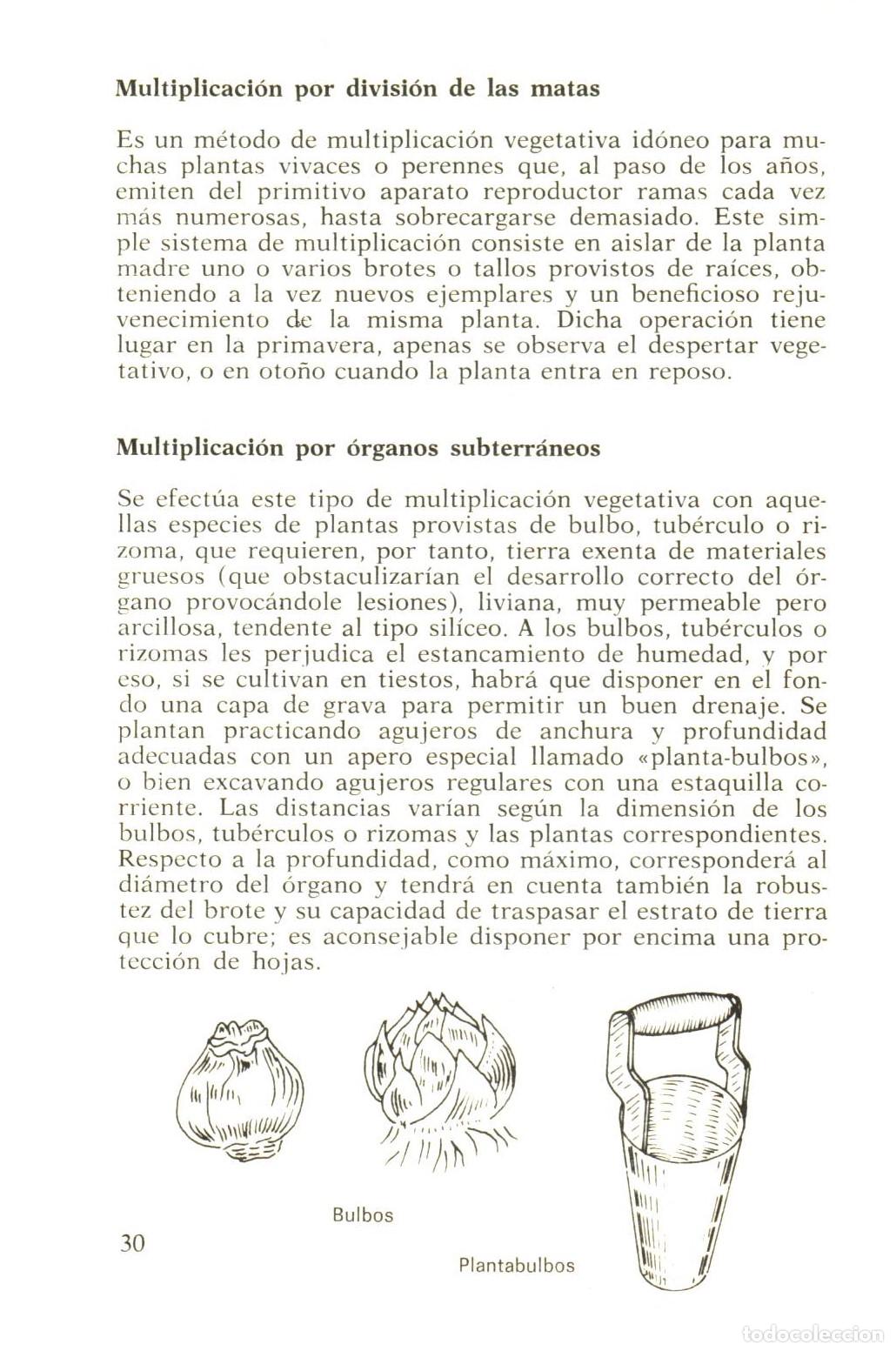 Libros de segunda mano: Guia de la jardineria - Mainardi, Fausta - Foto 2