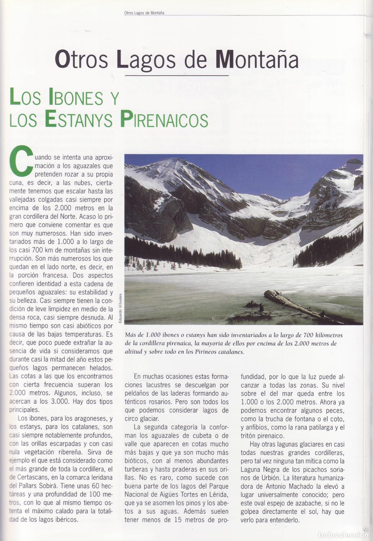 Libros de segunda mano: Zonas humedas - Araujo, Joaquin - Foto 2