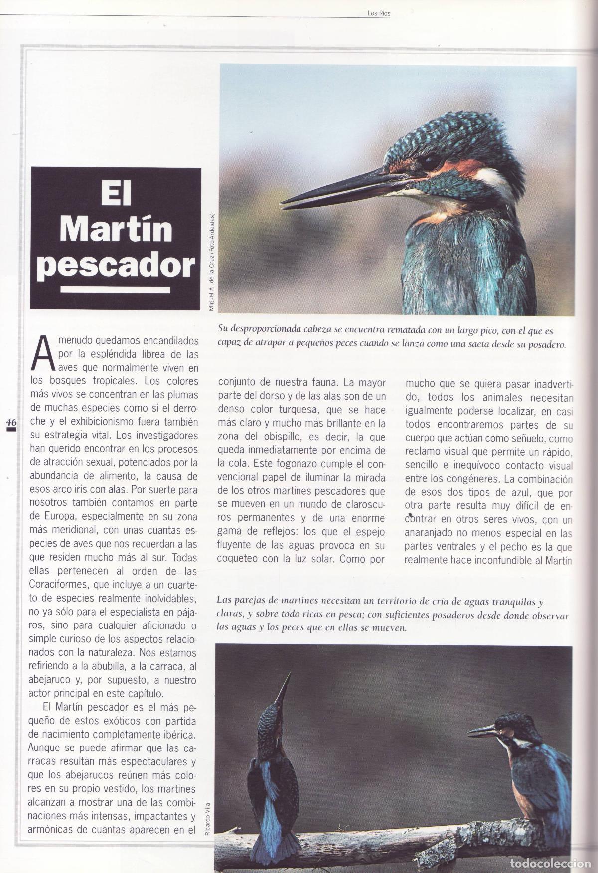 Libros de segunda mano: Rios - Araujo, Joaquin - Foto 2