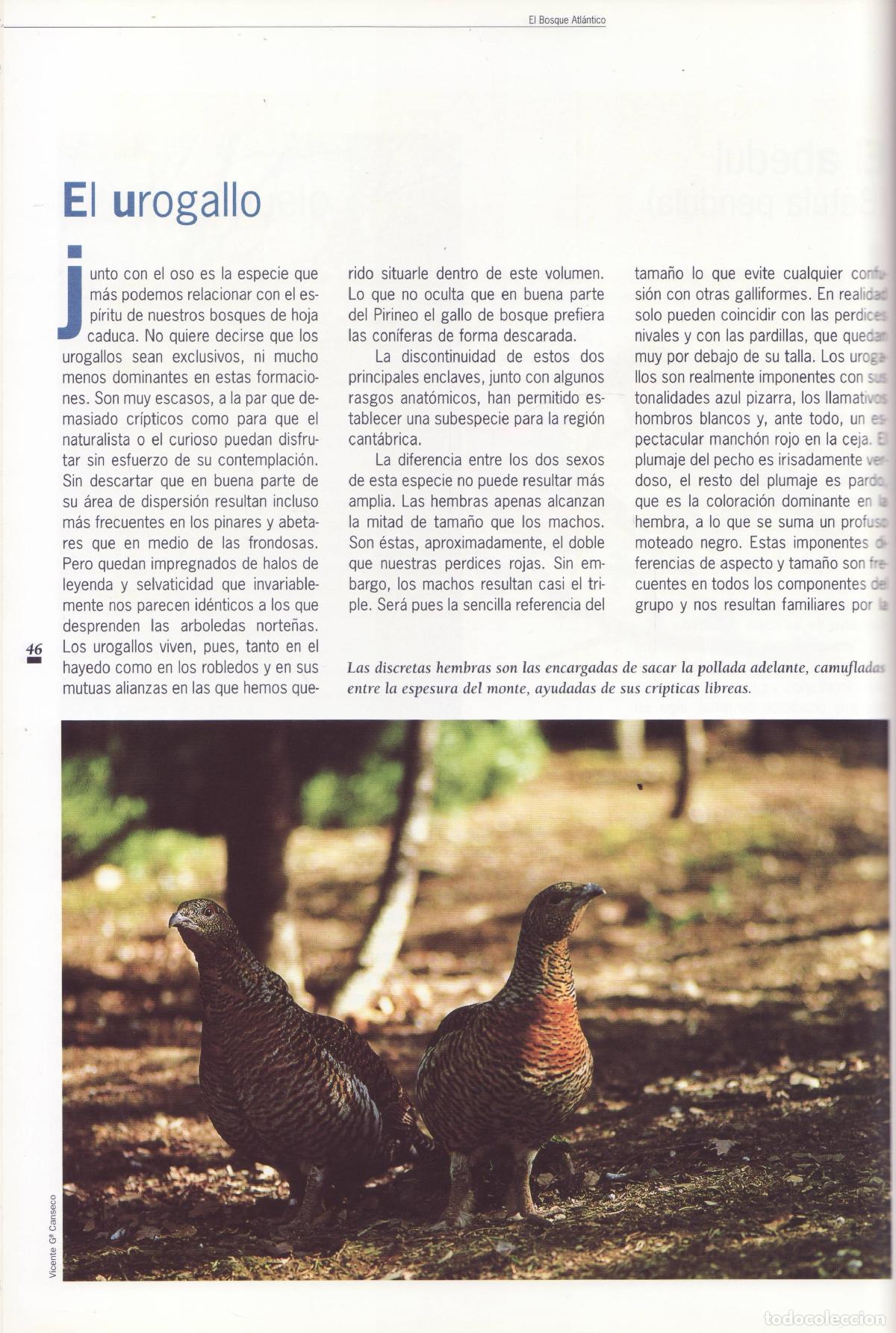 Libros de segunda mano: El bosque atlantico - Araujo, Joaquin - Foto 2
