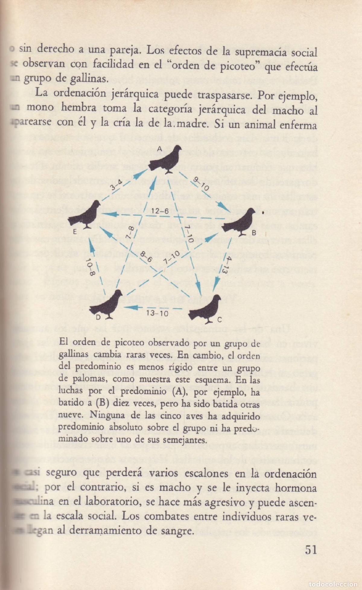 Libros de segunda mano: La conducta de los animales - Carthy, J. D. - Foto 2