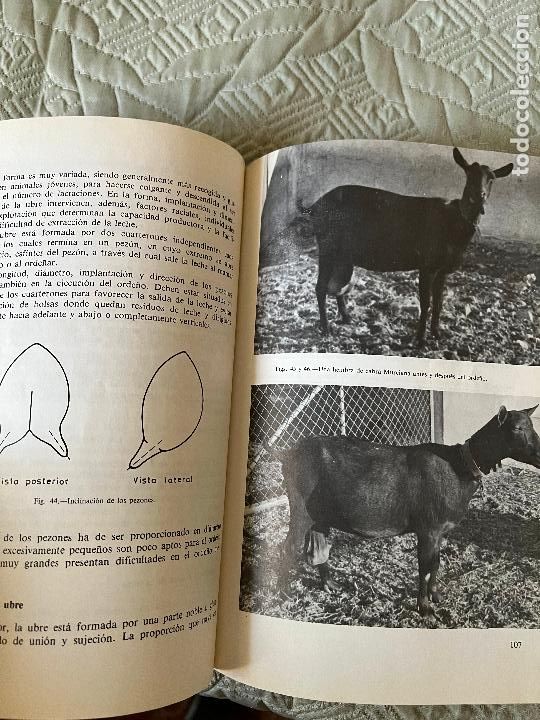 Libros de segunda mano: INTERESANTE LIBRO - MANUAL SOBRE CABRAS - MADRID 1983 - Foto 5