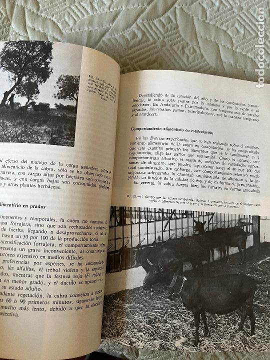 Libros de segunda mano: INTERESANTE LIBRO - MANUAL SOBRE CABRAS - MADRID 1983 - Foto 6